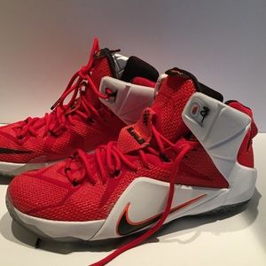 Lebron 12s